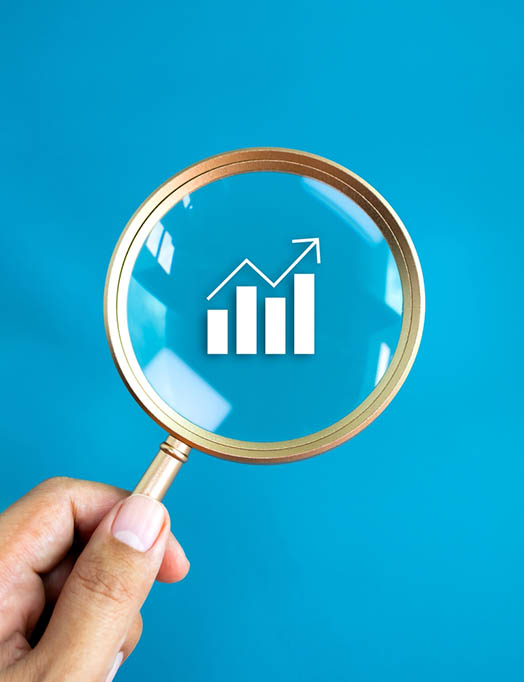 Appraisal data